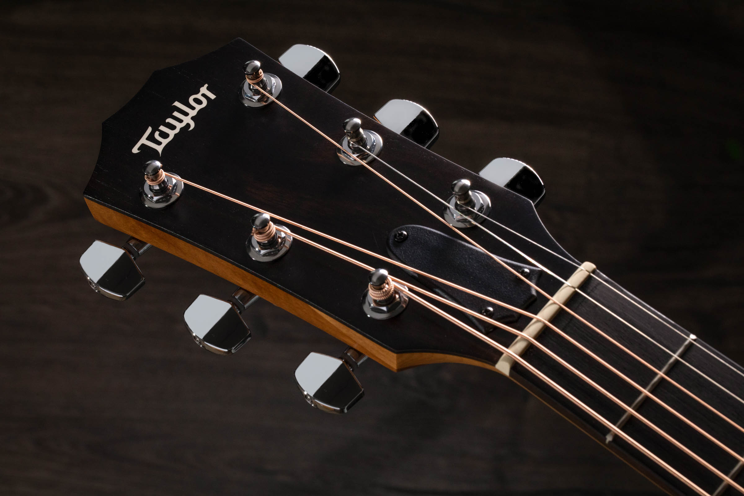110e Layered Walnut Acoustic-Electric Guitar | Taylor Guitars